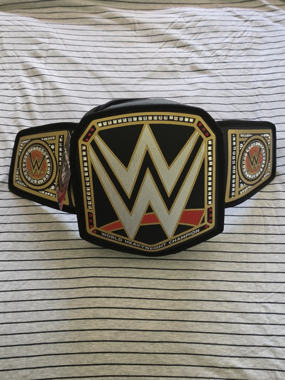 Igloo X WWE Can Cooler